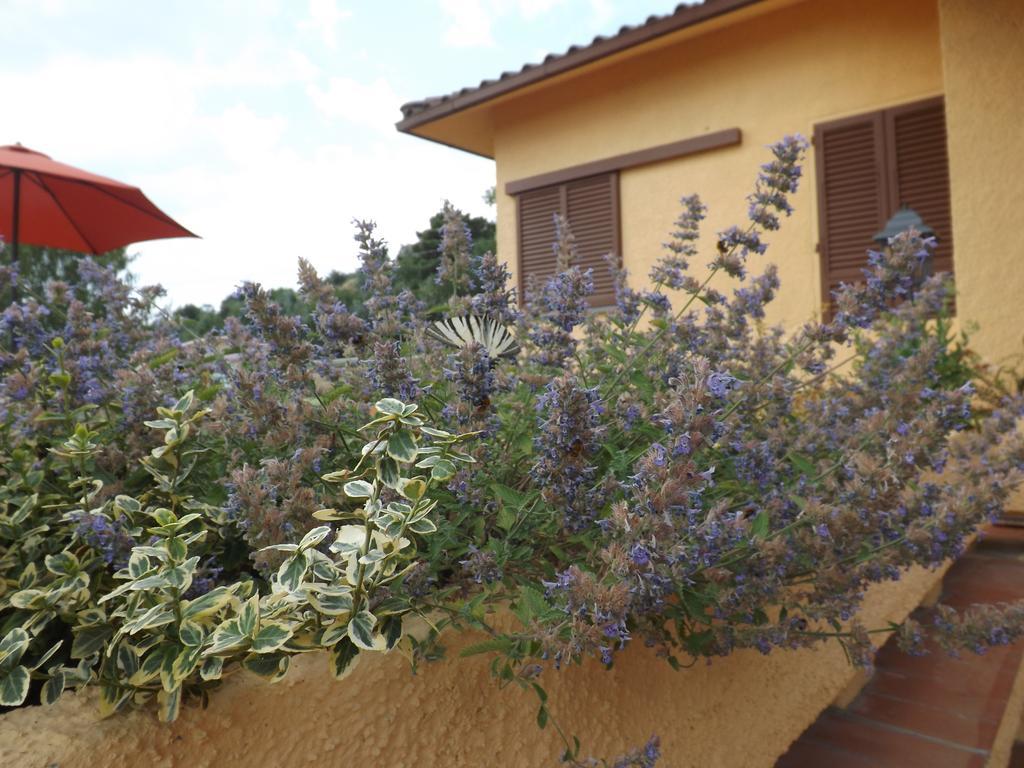 Rifugio Al Sole Reggello Exterior photo